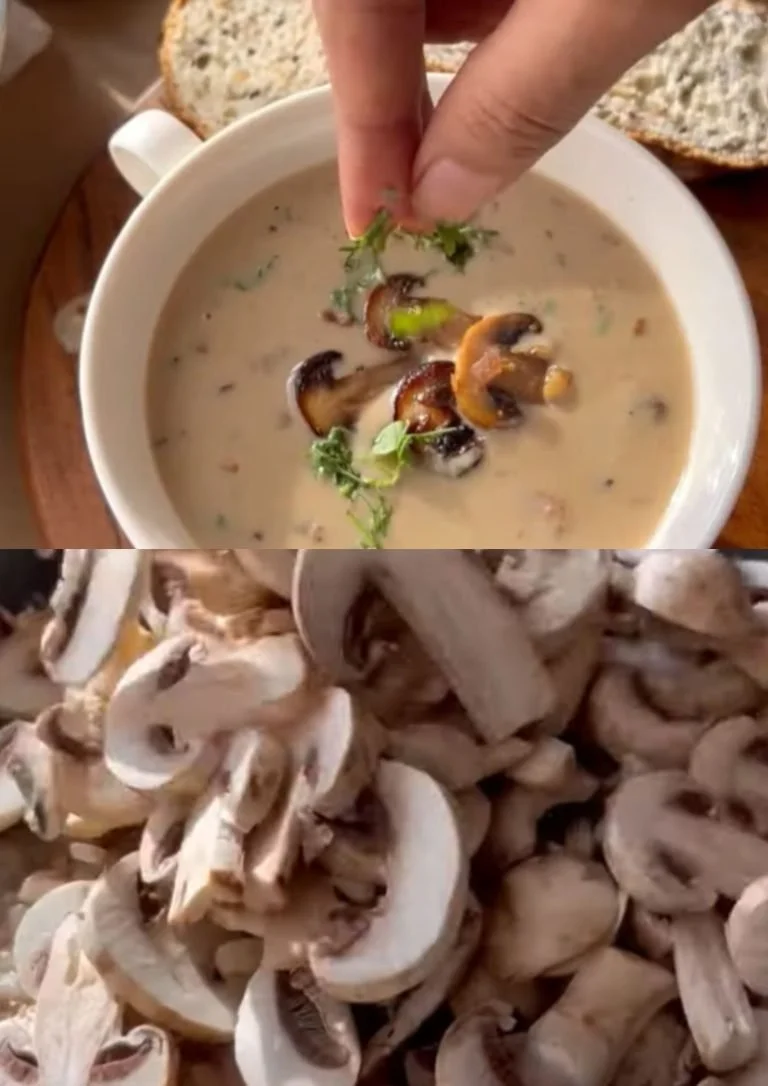Romige champignon soep met walnoten in een kom
