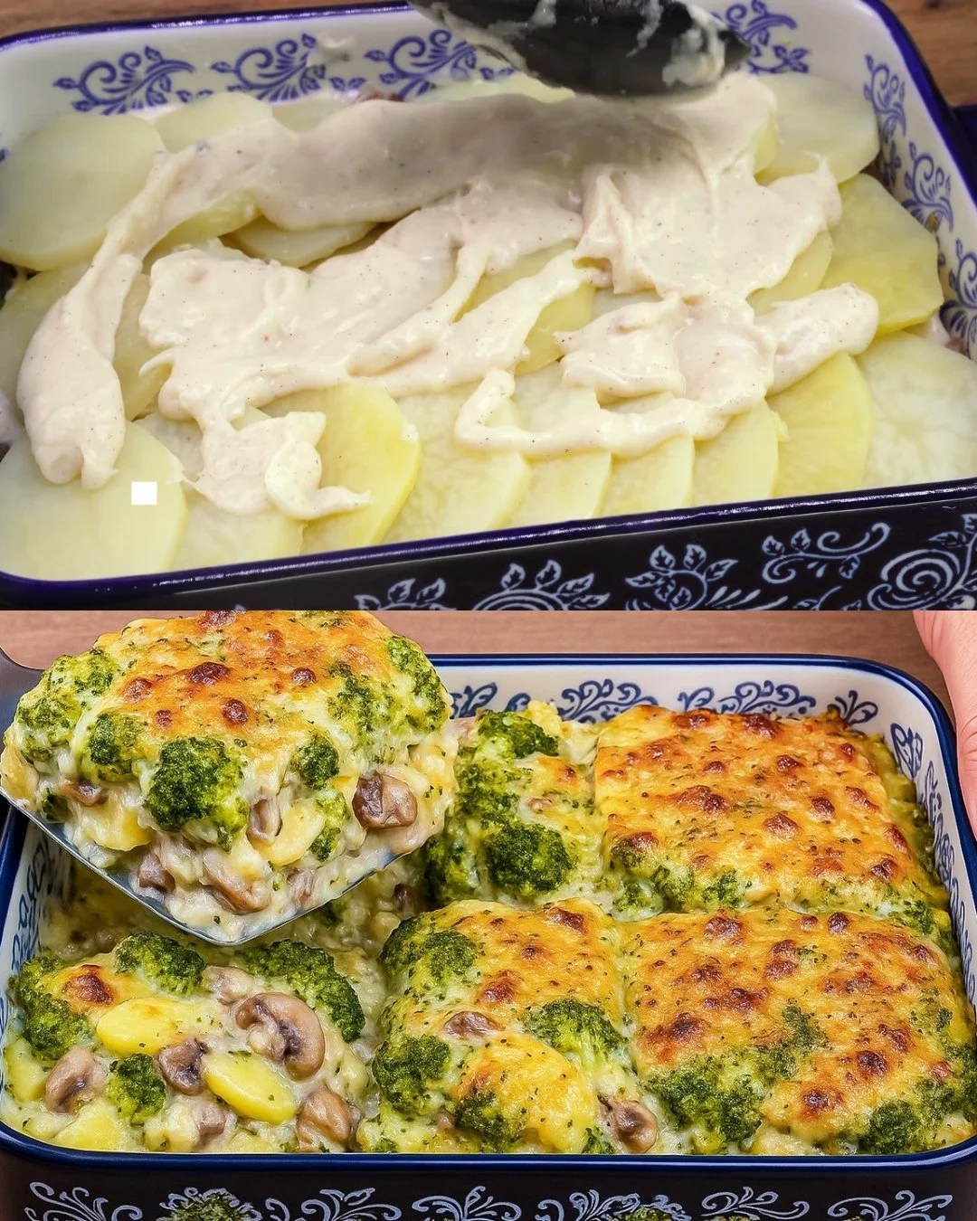 Broccoli-aardappel champignon gratin met muskaatkaassaus