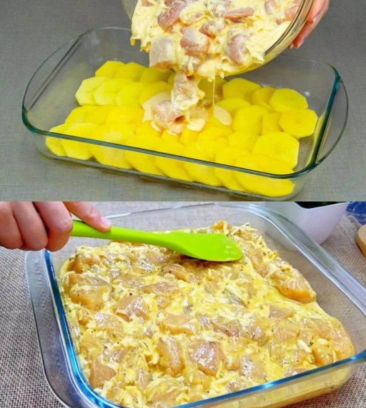 Heerlijke Kip Aardappel Gratin met romige saus en goudbruine kaaslaag