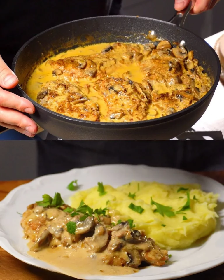 Romige kippenborst met champignons gerecht